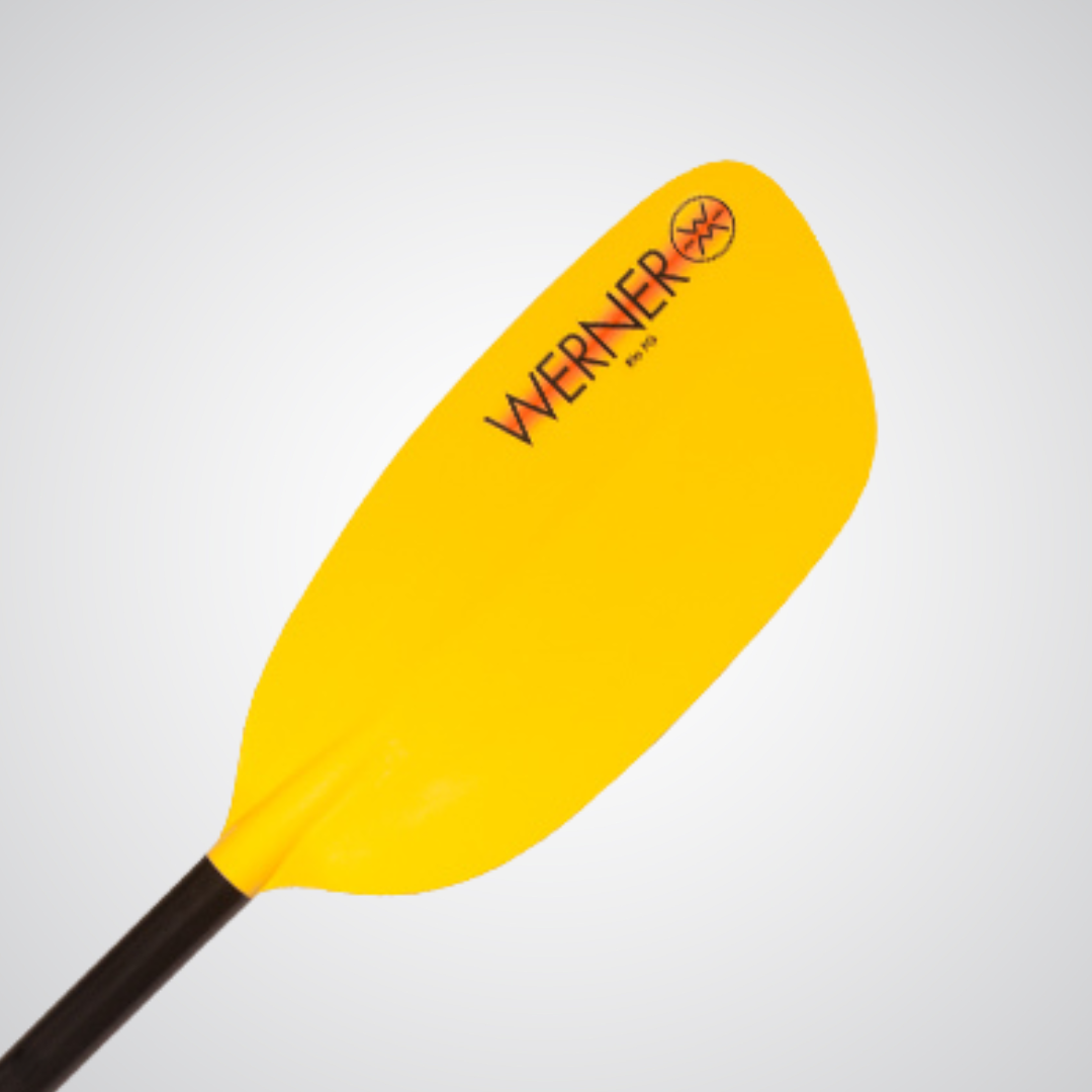 Werner Paddles - Rio FG 1 Piece