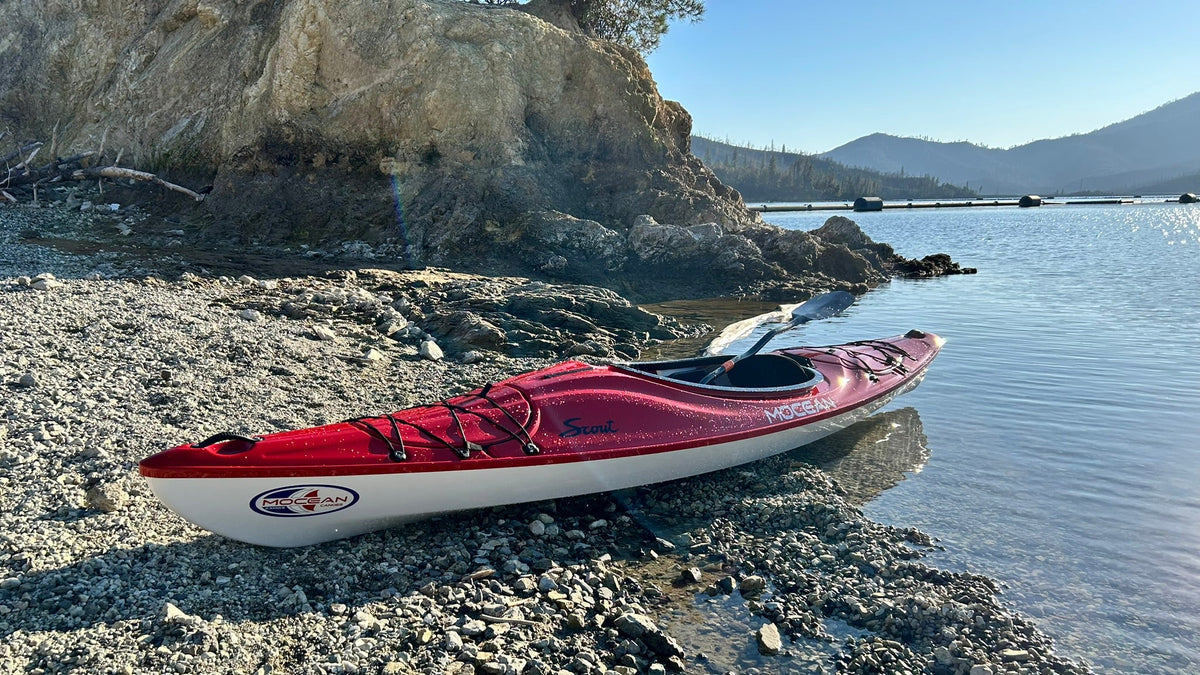 Mocean Scout 12